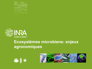 Ecosystèmes microbiens: enjeux agronomiques