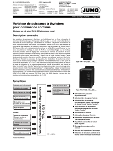 Variateur de puissance à thyristors pour commande continue