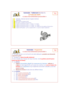 Le Protocole GAPS