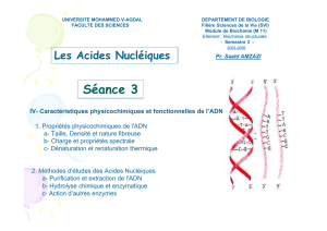 Diapositive 1 - Faculté des Sciences de Rabat