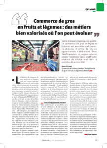 commerce de gros en fruits et légumes