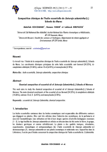 Composition chimique de l`huile essentielle de Satureja calamintha