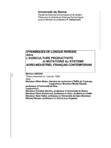 Dynamiques de longue période dans l`agriculture productiviste et