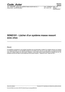 SDND101 - Lâcher d`un système masse ressort avec c