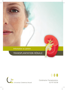 transplantation rénale