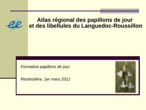 Atlas régional des papillons de jour et des libellules du Languedoc