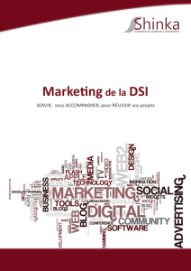 Marketing de la DSI - Shinka | Expertise en système d`information