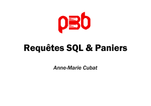 Diaporama : PMB, paniers et requêtes SQL