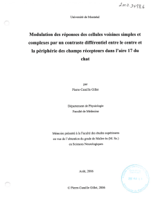 Gillet_Pierre-Camille_2006_memoire - Papyrus