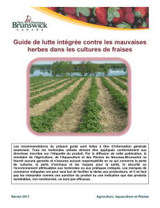 Guide de lutte intégrée contre les mauvaises herbes dans les