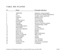 Séminaires de Phytothérapie Moderne, Association Haïti