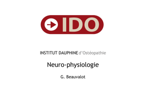 Neuro-physiologie