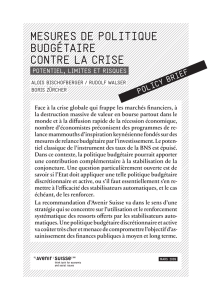 mesures de politique budg&eacute;taire contre la crise