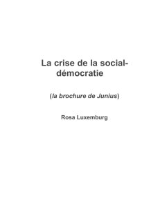 La crise de la social- démocratie - Les classiques