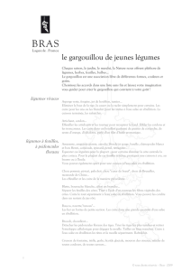 le gargouillou de jeunes légumes