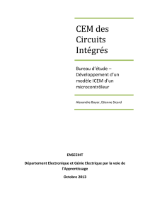 CEM des Circuits Intégrés
