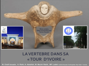 LA VERTEBRE DANS SA « TOUR D`IVOIRE »