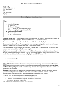 Julie Chapon SNP Pr F. Bartolomei 14 pages Crises