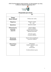 Programme par niveau A1