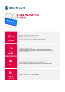 Audit marketing digital - CCI Ille-et