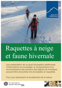 Dossier Raquettes à neige et faune hivernale
