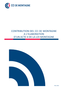 ContributionCCIMontagne loi Montagne Mars2015_VF paginee (2)