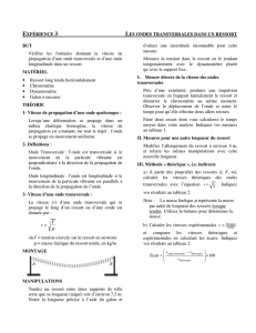 EXPÉRIENCE 3 LES ONDES TRANSVERSALES DANS UN