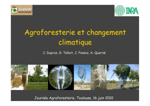 Agroforesterie et changement climatique