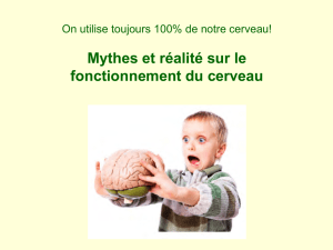 Mythes et r&eacute;alit&eacute; sur le fonctionnement du cerveau