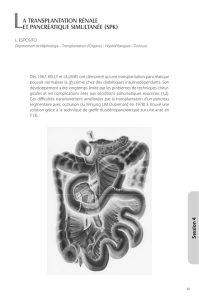 la transplantation rénale et pancréatique simultanée (spk)