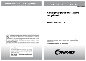 Chargeur pour batteries au plomb Code