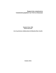 Rapport des commissaires complet (6 pages)