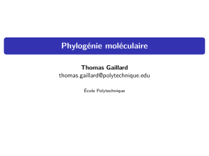 Phylogénie moléculaire