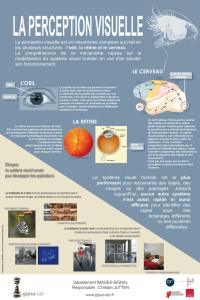 la retine l`oeil le cerveau - GIPSA-Lab