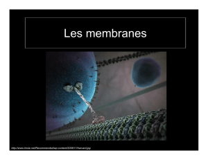 Les membranes