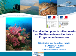Plan d`action pour le milieu marin en Méditerranée occidentale