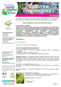 BSV Horticulture Normandie N°20 du 24