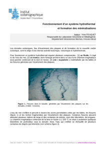 Fiche complète - Fonctionnement d`un système hydrothermal et