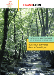 Ruisseaux et rivières