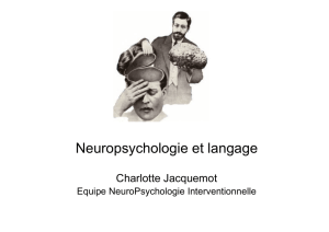 Langage 3: Neurosciences du langage