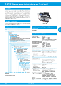 Disjoncteurs de batterie types E-1073-437 2