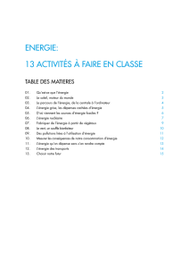 ENERGIE: 13 ACTIVITÉS à FAIRE EN CLASSE