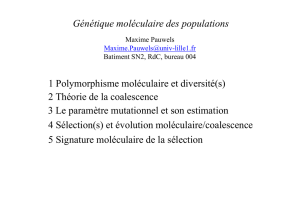 Génétique moléculaire des populations