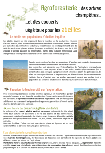 Agroforesterie : des arbres - Association Française d`Agroforesterie