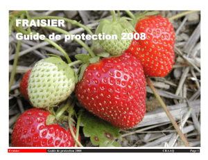 Guide de protection 2008