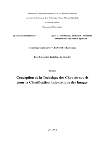 Chapitre 1 - University of Sciences and Technology of Oran