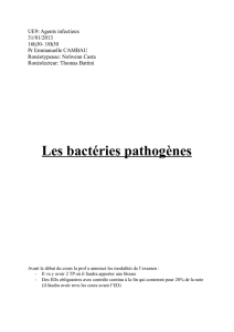 Les bactéries pathogènes - Cours L3 Bichat 2012-2013