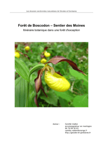 Forêt de Boscodon – Sentier des Moines