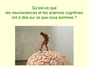 Qu`est-ce que les neurosciences et les sciences cognitives ont à