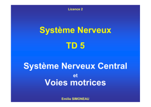 Système Nerveux TD 5 Système Nerveux Central Voies